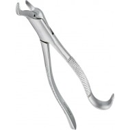 Extracting Forceps Adults 